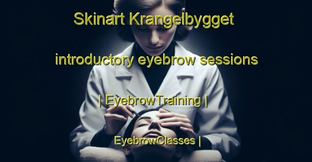 Skinart Krangelbygget introductory eyebrow sessions | EyebrowTraining | EyebrowClasses | SkinartTraining-Sweden